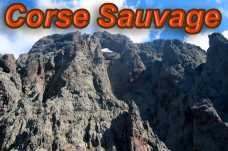 Corse Sauvage Le site