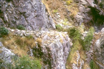 Sentier de Capronale