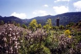 Le village de Carbini
