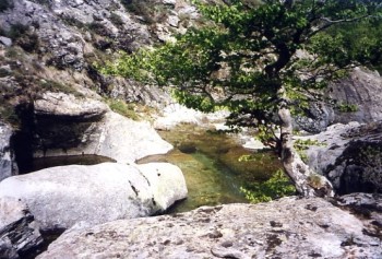 Le ruisseau de Partuso