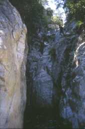 Canyon de Petra Pinzuta