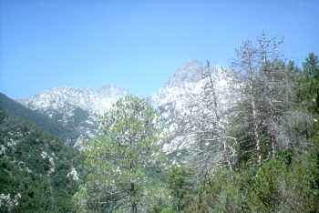 Cima di Vico et Punta Laccione par la vallée de la Pruniccia