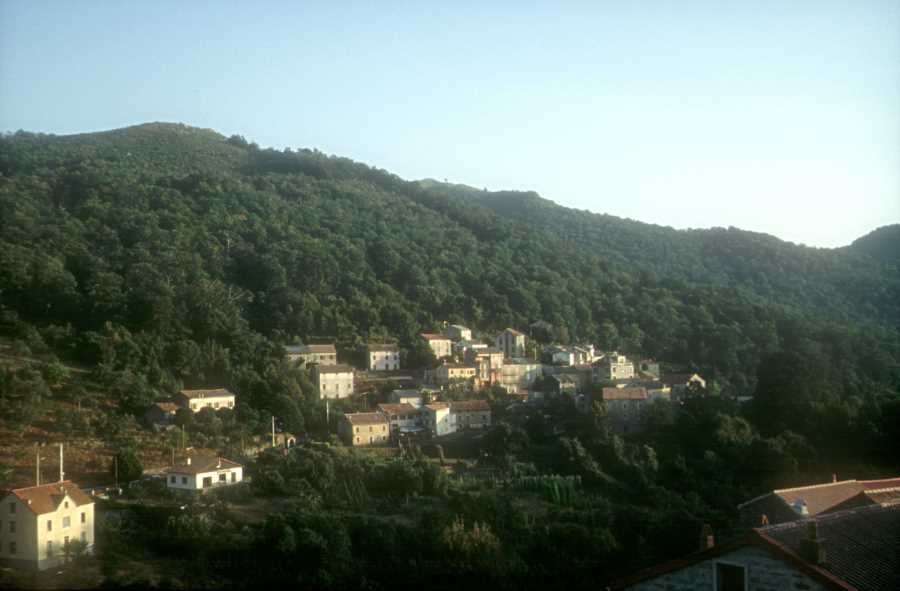 Le village de Bastelica