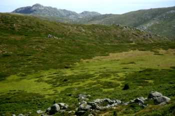 Plateau du Cuscionu (Coscione) et ses pozzines